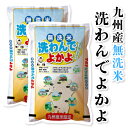 【令和7年産・九州産】無洗米「洗わんでよかよ」10kgレビュー｜忙しい毎日に最高のお米