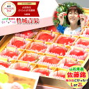 【母の日ギフト2025】山形県産さくらんぼ｜楽天グルメ大賞9度受賞の絶品フルーツをお取り寄せ