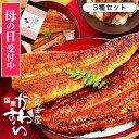 【母の日ギフトに】楽天13年連続1位！かわすい国産うなぎ蒲焼き3種セットを徹底レビュー